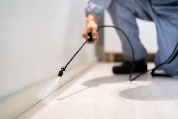 Licensed Pest Control service in Dorneyville, PA - Show Me Pest Control