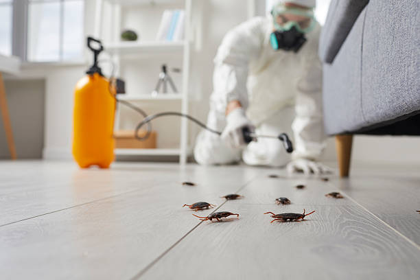 Commercial Kitchen Cockroach Control in Dorneyville